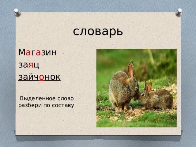 словарь М а г а зин за я ц зайч о нок   Выделенное слово разбери по составу  