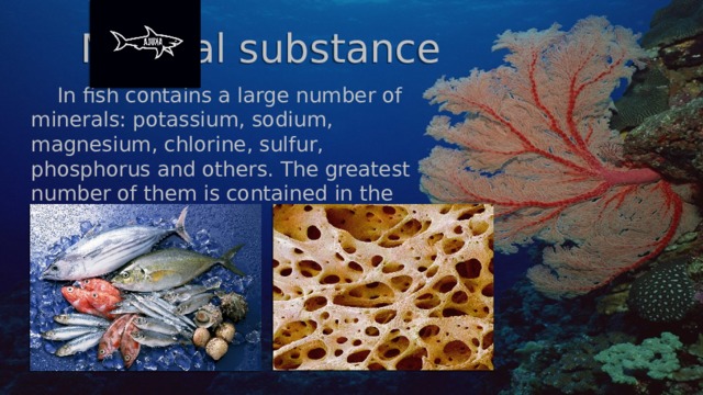 Mineral substance  In fish contains a large number of minerals: potassium, sodium, magnesium, chlorine, sulfur, phosphorus and others. The greatest number of them is contained in the bone tissue of fish.  