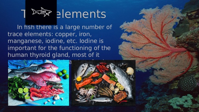 Trace elements  In fish there is a large number of trace elements: copper, iron, manganese, iodine, etc. Iodine is important for the functioning of the human thyroid gland, most of it contains marine fish and seafood. 