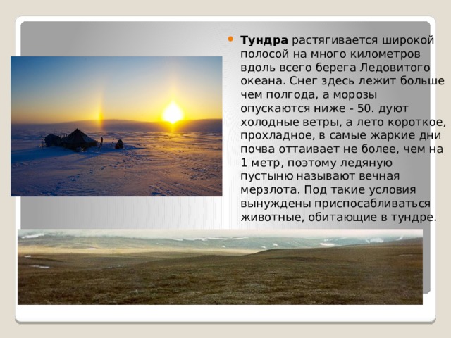 Тундра 60. Описание тундры по плану. Тундра визитка. Сообщение о лесотундре 5й класс.