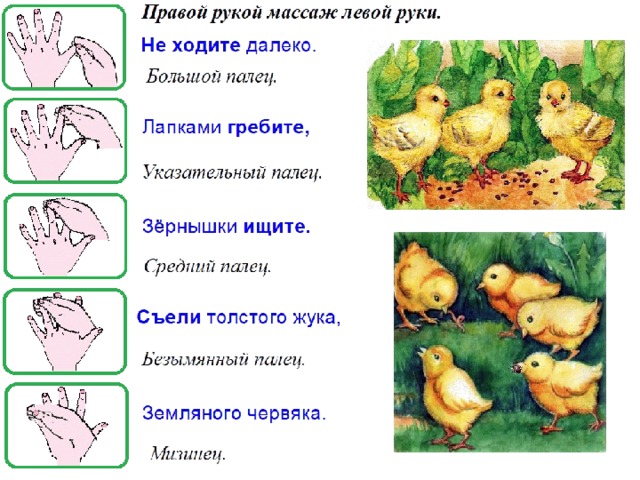 Дети учатся оттягивать от формы мелкие детали при изображении цыплят и птиц это задача