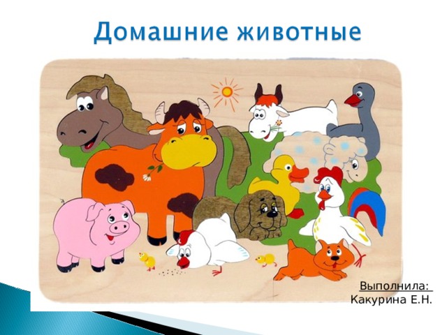Выполнила: Какурина Е.Н. 