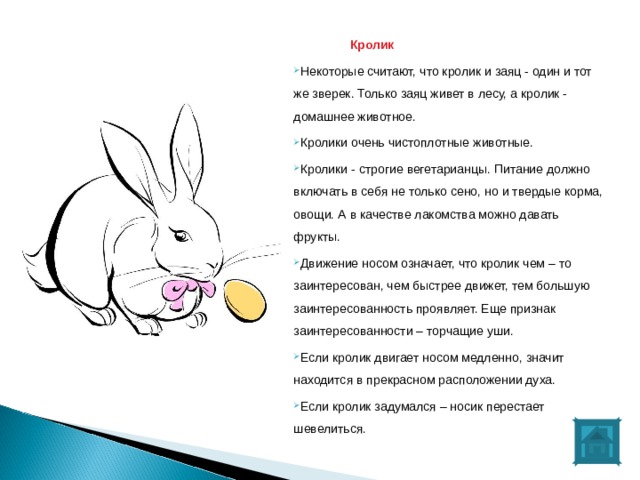  Кролик Некоторые считают, что кролик и заяц - один и тот же зверек. Только заяц живет в лесу, а кролик - домашнее животное.  Кролики очень чистоплотные животные. Кролики - строгие вегетарианцы. Питание должно включать в себя не только сено, но и твердые корма, овощи. А в качестве лакомства можно давать фрукты. Движение носом означает, что кролик чем – то заинтересован, чем быстрее движет, тем большую заинтересованность проявляет. Еще признак заинтересованности – торчащие уши. Если кролик двигает носом медленно, значит находится в прекрасном расположении духа. Если кролик задумался – носик перестает шевелиться.  