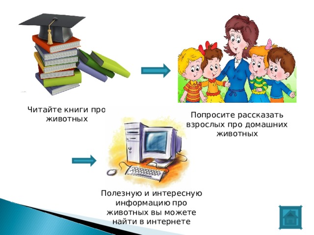 Читайте книги про животных Попросите рассказать взрослых про домашних животных Полезную и интересную информацию про животных вы можете найти в интернете 