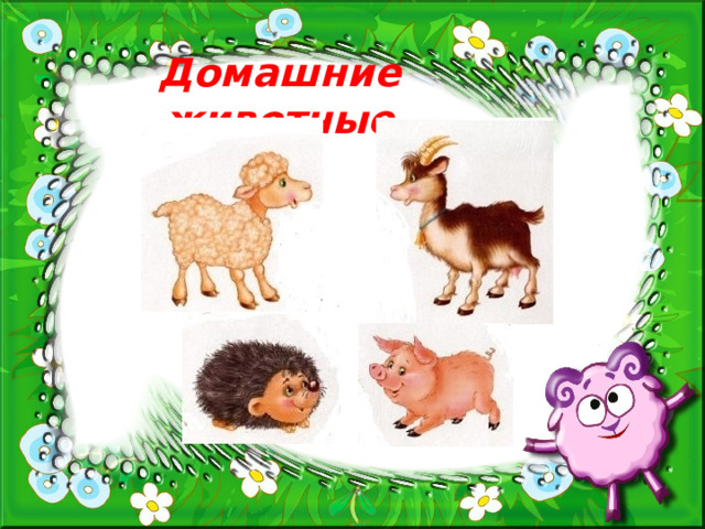 Домашние животные 