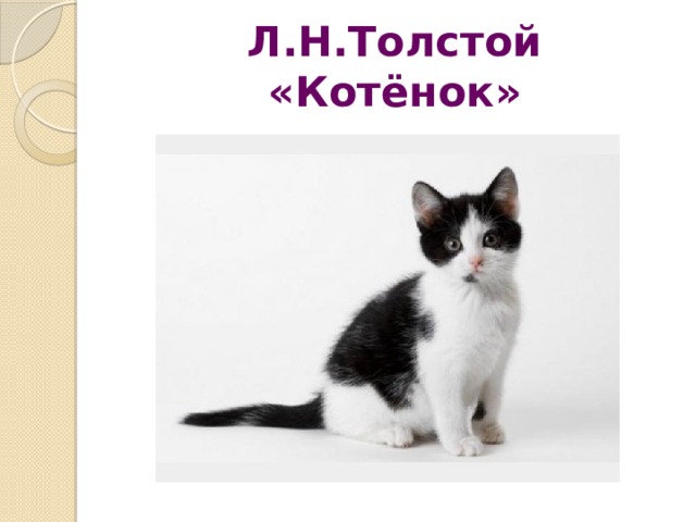 Котенок толстой 2 класс