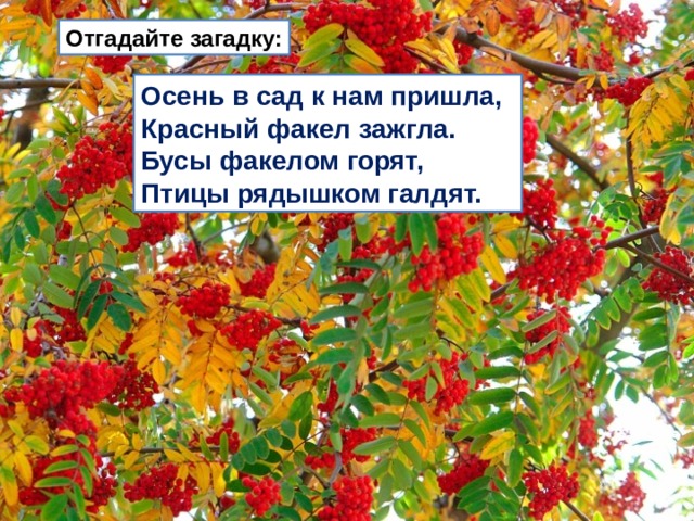 Изо 1 класс красоту надо уметь замечать презентация