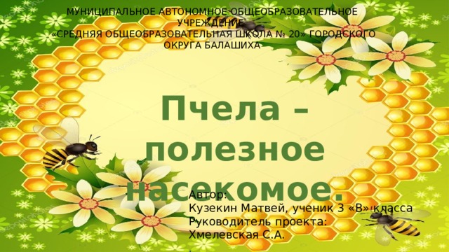 МУНИЦИПАЛЬНОЕ АВТОНОМНОЕ ОБЩЕОБРАЗОВАТЕЛЬНОЕ УЧРЕЖДЕНИЕ  «СРЕДНЯЯ ОБЩЕОБРАЗОВАТЕЛЬНАЯ ШКОЛА № 20» ГОРОДСКОГО ОКРУГА БАЛАШИХА      Пчела – полезное насекомое. Автор: Кузекин Матвей, ученик 3 «В» класса Руководитель проекта: Хмелевская С.А. . 