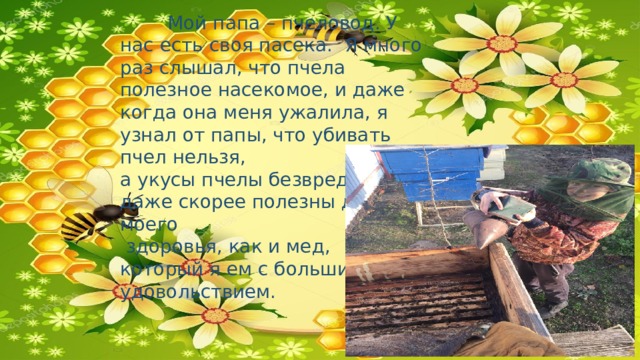  Мой папа – пчеловод. У нас есть своя пасека. Я много раз слышал, что пчела полезное насекомое, и даже когда она меня ужалила, я узнал от папы, что убивать пчел нельзя, а укусы пчелы безвредны, и даже скорее полезны для моего  здоровья, как и мед, который я ем с большим удовольствием. 