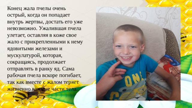 Конец жала пчелы очень острый, когда он попадает внутрь жертвы, достать его уже невозможно. Ужалившая пчела улетает, оставляя в коже свое жало с прикрепленными к нему ядовитыми железами и мускулатурой, которая, сокращаясь, продолжает отправлять в ранку яд. Сама рабочая пчела вскоре погибает, так как вместе с жалом теряет жизненно важные части тела. 