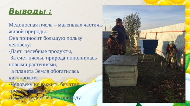 Выводы : Медоносная пчела – маленькая частичка живой природы. Она приносит большую пользу человеку: -Дает целебные продукты, -За счет пчелы, природа пополнилась новыми растениями,  а планета Земля обогатилась кислородом. -Человеку не выжить без этих трудолюбивых насекомых. Давайте будем беречь природу! 