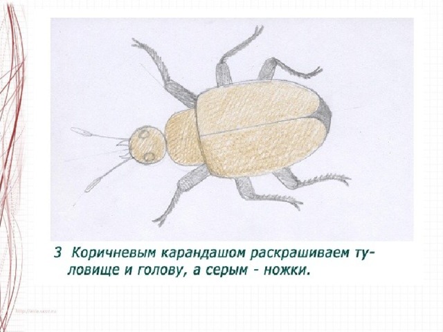 Презентация по изо разноцветные жуки 1 класс презентация