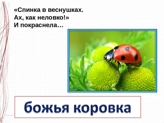 Презентация разноцветные жуки 1 класс школа россии фгос