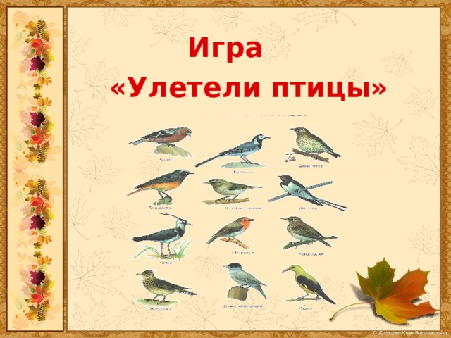 Игра «Улетели птицы» 