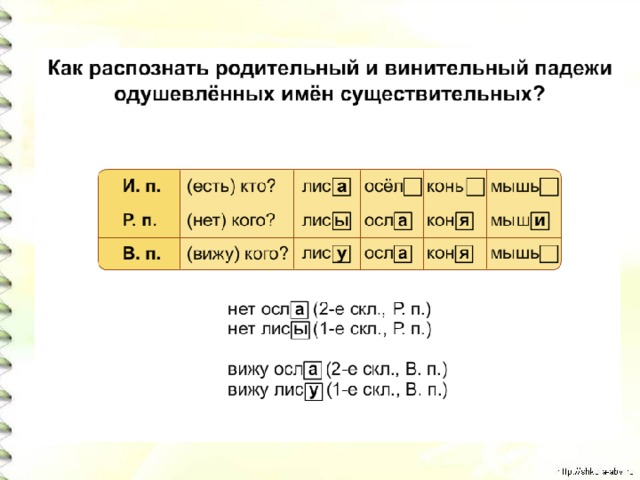 Именительный и винительный падежи имен существительных 4 класс презентация