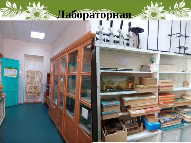 Лабораторная 