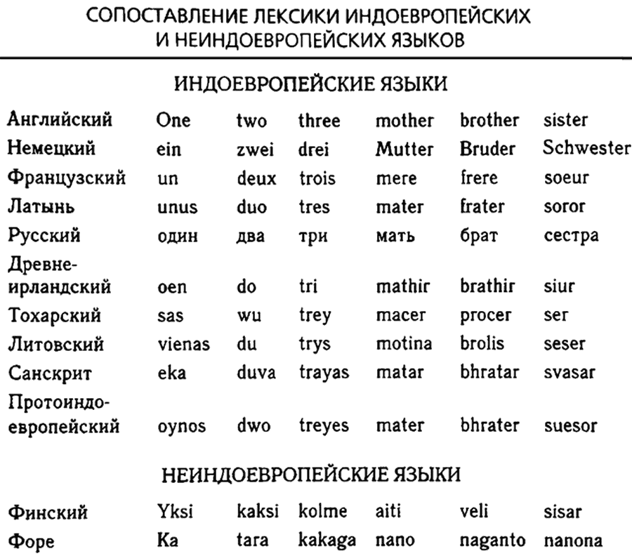 Слова европейских языков. Сходство индоевропейских языков. Индоевропейские языки сравнение. Таблица родства индоевропейских языков. Общие слова в индоевропейских языках.