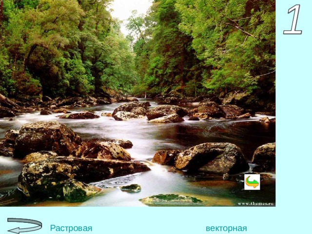 Paint, PhotoShop, Photo Paint, Photo Finish, Picture Man.  Растровая      векторная 