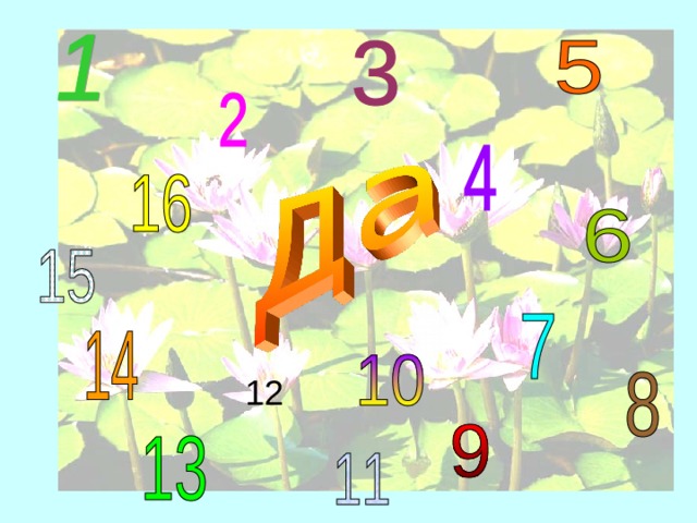 12 