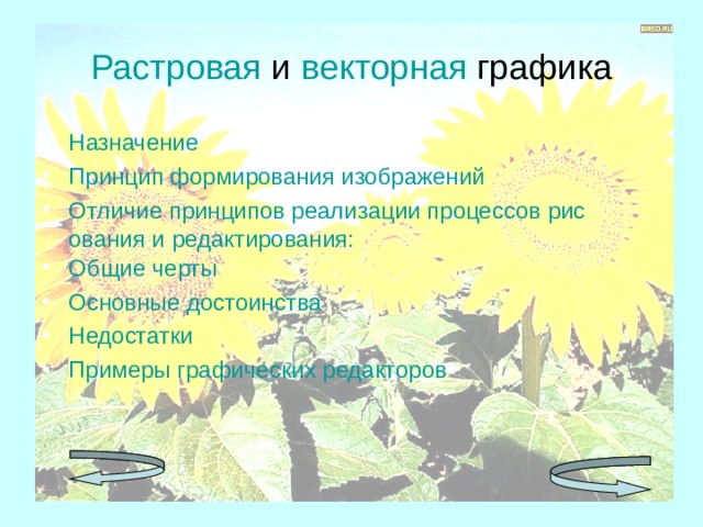 Растровая и векторная графика Назначение Принцип формирования изображений Отличие принципов реализации процессов рисования и редактирования: Общие черты Основные достоинства Недостатки Примеры графических редакторов 