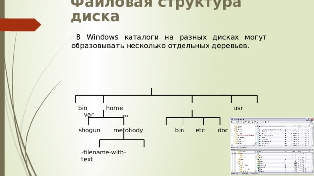 Файловая структура диска В Windows каталоги на разных дисках могут образовывать несколько отдельных деревьев. bin home usr var …  shogun metohody bin etc doc …  -filename-with- text 