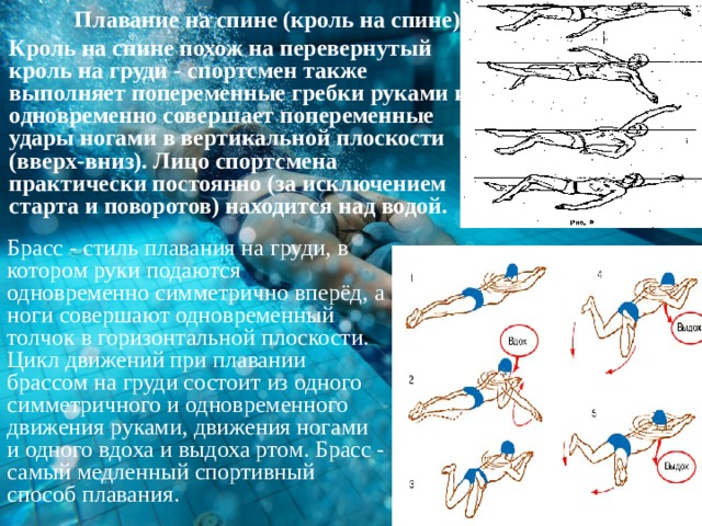 Самый способ плавания. Правила плавания. Попеременные движения в плавании. Ошибки при плавании кролем на спине. Правила плавания на спине.