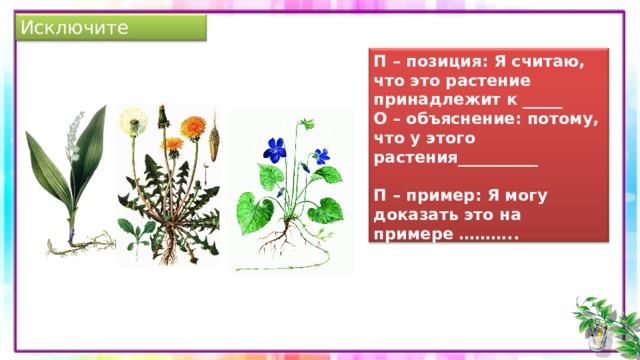 Исключите лишнее П – позиция: Я считаю, что это растение принадлежит к _____ О – объяснение: потому, что у этого растения__________   П – пример: Я могу доказать это на примере ……….. растения С – Следствие: поэтому, я делаю вывод:____  
