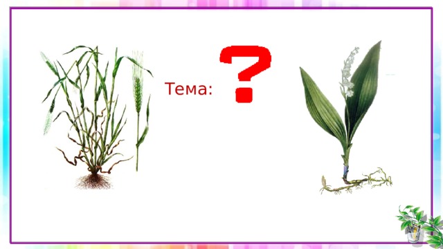 Тема: 