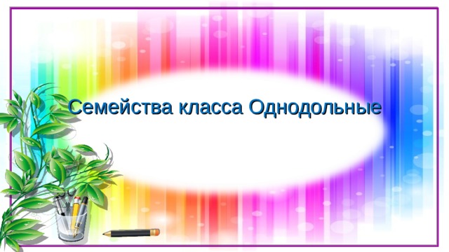 Семейства класса Однодольные 