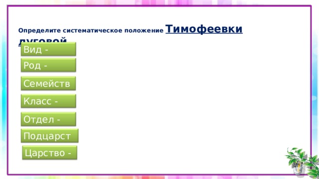 Вид семейство род класс отдел