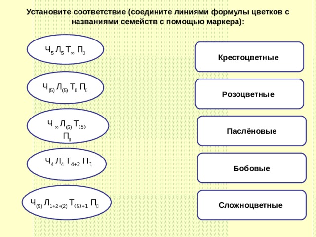 Установите соответствие (соедините линиями формулы цветков с названиями семейств с помощью маркера): Крестоцветные  Ч 5 Л 5 Т ∞ П   Розоцветные  Ч (5) Л (5) Т  П  Ч ∞  Л (5) Т  П  Паслёновые Бобовые Ч 4 Л 4 Т  П  Сложноцветные  Ч (5) Л 1+2+(2) Т  П  