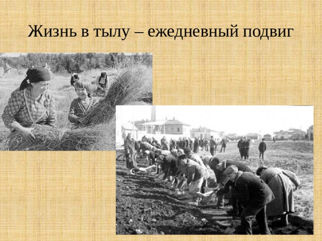 Жизнь в тылу – ежедневный подвиг 