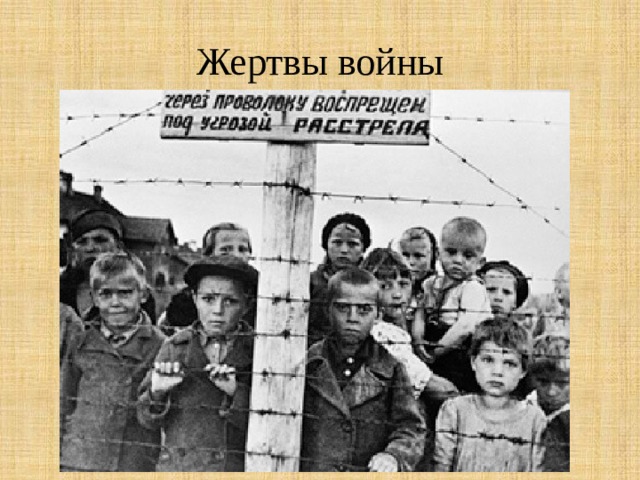 Жертвы войны 