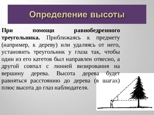 Что из себя представляют изображенные на фотографии верхние части побегов плауна