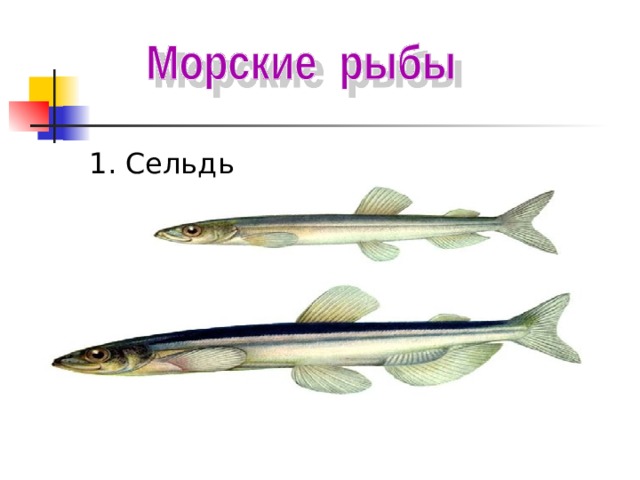 Технологическая карта урока окружающий мир 1 класс кто такие рыбы