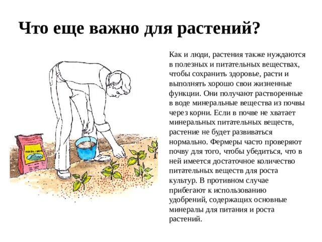 Что еще важно для растений? Как и люди, растения также нуждаются в полезных и питательных веществах, чтобы сохранить здоровье, расти и выполнять хорошо свои жизненные функции. Они получают растворенные в воде минеральные вещества из почвы через корни. Если в почве не хватает минеральных питательных веществ, растение не будет развиваться нормально. Фермеры часто проверяют почву для того, чтобы убедиться, что в ней имеется достаточное количество питательных веществ для роста культур. В противном случае прибегают к использованию удобрений, содержащих основные минералы для питания и роста растений. 