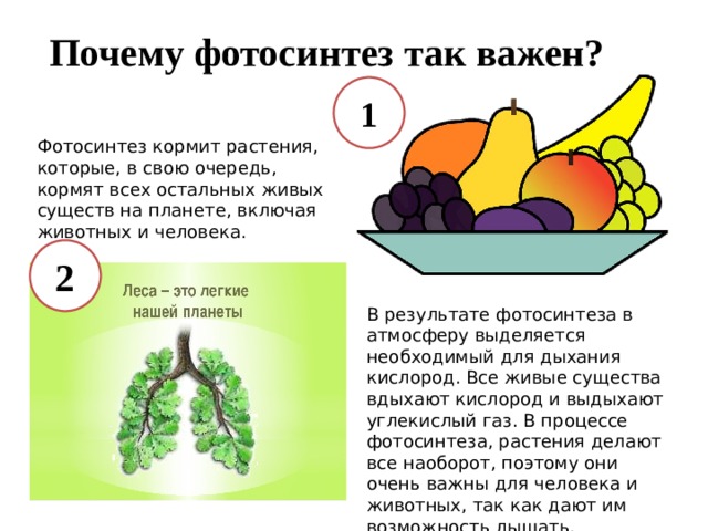 Очередь существ в битве hota