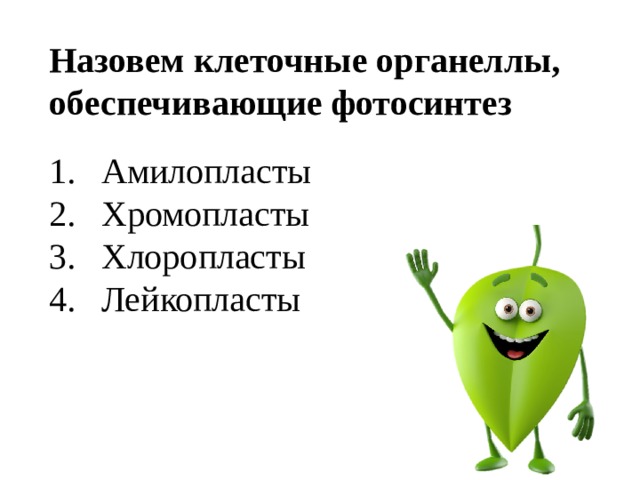 Назовем клеточные органеллы, обеспечивающие фотосинтез Амилопласты Хромопласты Хлоропласты Лейкопласты 