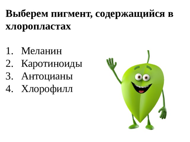 Выберем пигмент, содержащийся в хлоропластах Меланин Каротиноиды Антоцианы Хлорофилл 