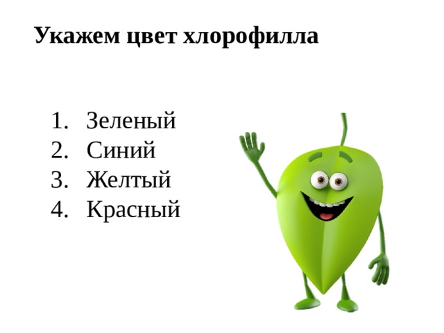 Укажем цвет хлорофилла Зеленый Синий Желтый Красный 
