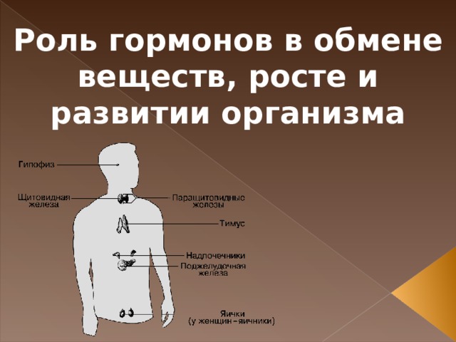 Влияние гормонов на рост и развитие человека проект по биологии 8 класс