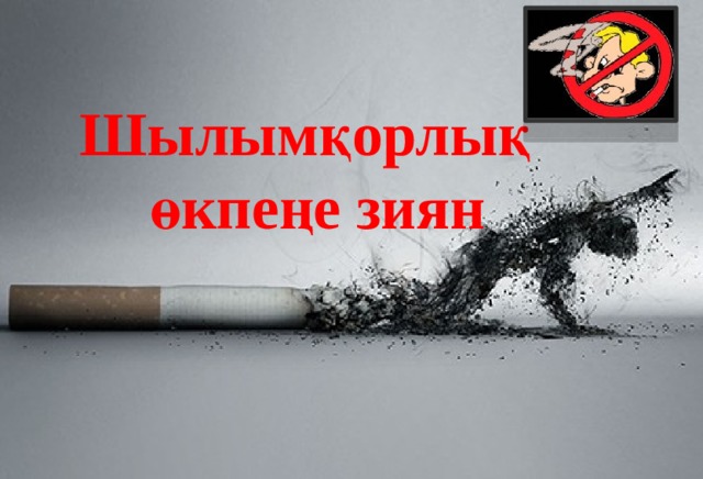 Шылымқорлық өкпеңе зиян  