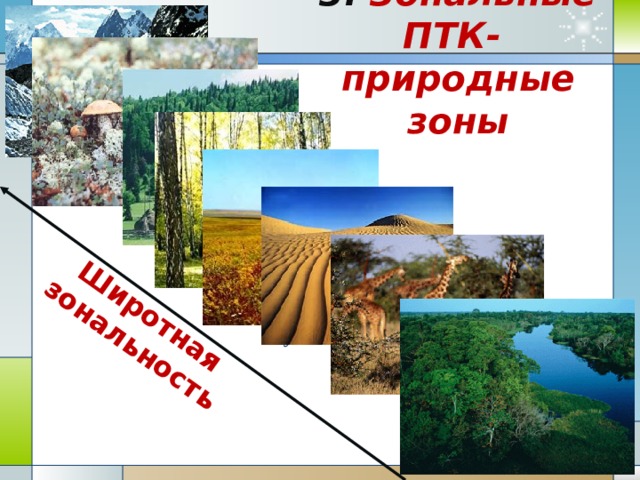 Что такое природный комплекс 8 класс. Разнообразие природных комплексов. Природный территориальный комплекс. Природно-территориальные комплексы России. Природные ПТК.