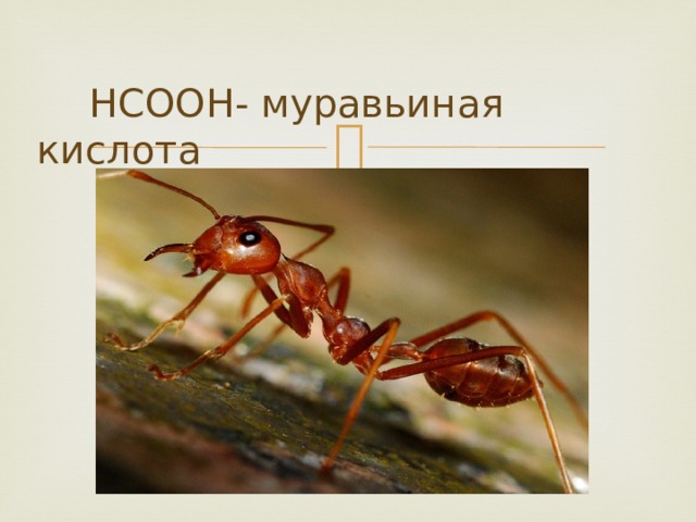  HCOOH- муравьиная кислота 