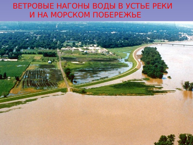 ВЕТРОВЫЕ НАГОНЫ ВОДЫ В УСТЬЕ РЕКИ  И НА МОРСКОМ ПОБЕРЕЖЬЕ 