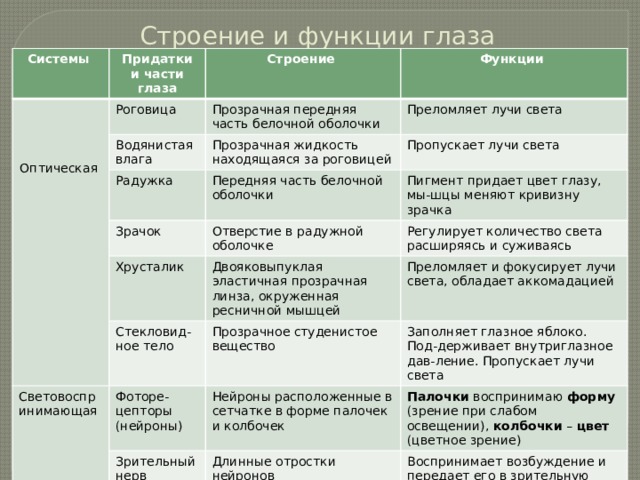 2 особенности строения. Строение и функции глаза таблица. Строение глаза и зрительного анализатора таблица. Таблица структура глаза строение функции. Зрительный анализатор строение и функции глаза таблица.