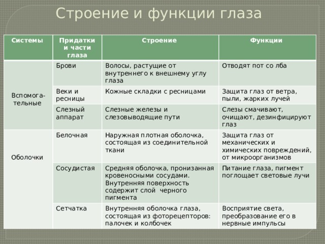 Строение и функции глаза Системы Придатки и части глаза Строение Брови Веки и ресницы Функции Волосы, растущие от внутреннего к внешнему углу глаза Кожные складки с ресницами Слезный аппарат Отводят пот со лба Защита глаз от ветра, пыли, жарких лучей Белочная Слезные железы и слезовыводящие пути Вспомога-тельные Слезы смачивают, очищают, дезинфицируют глаз Наружная плотная оболочка, состоящая из соединительной ткани Сосудистая Оболочки Защита глаз от механических и химических повреждений, от микроорганизмов Средняя оболочка, пронизанная кровеносными сосудами. Внутренняя поверхность содержит слой черного пигмента Сетчатка Питание глаза, пигмент поглощает световые лучи Внутренняя оболочка глаза, состоящая из фоторецепторов: палочек и колбочек Восприятие света, преобразование его в нервные импульсы 