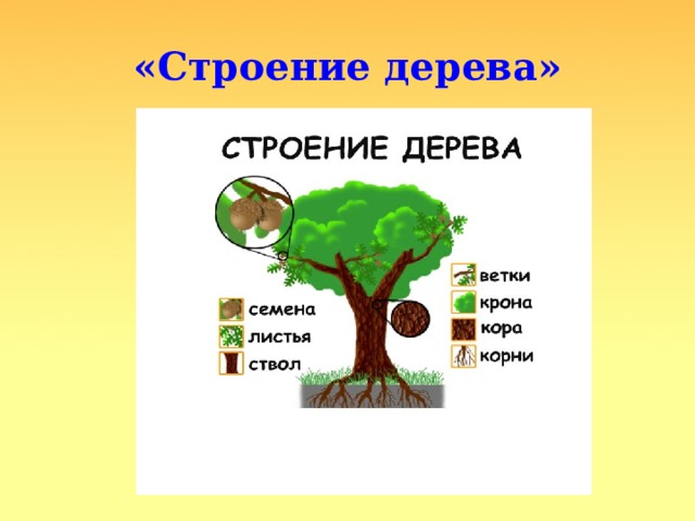 Дерево документов. Отметь части дерева. Мозаика строение дерева для дошкольников. Строение дерева схема для детей картинки на чеченском языке.