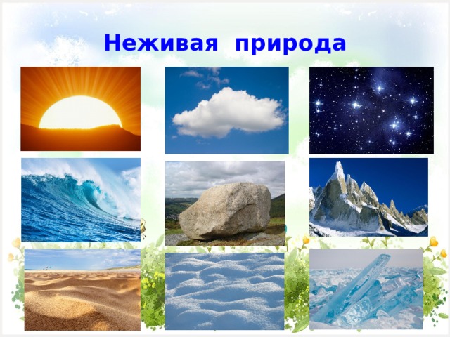  Неживая природа   
