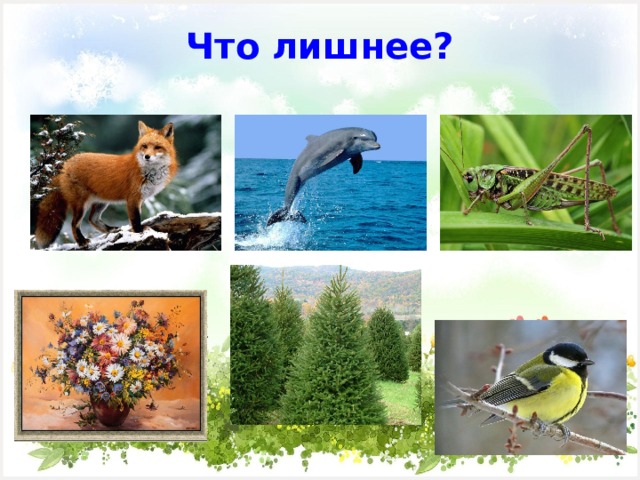 Что лишнее? 